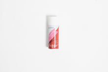 Load image into Gallery viewer, Touch Up Paint