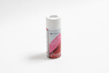 Load image into Gallery viewer, Touch Up Paint